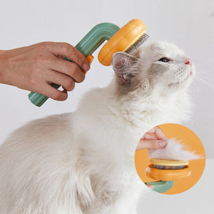 Rasmun Pet Pumpkin Brush | Self-Cleaning Slicker for Dogs & Cats