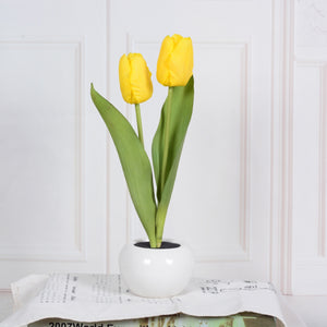 Rasmun LED Tulip Flower Night Light – Artificial Flowerpot Table Lamp for Home, Bedroom & Gift Decoration