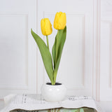 Rasmun LED Tulip Flower Night Light – Artificial Flowerpot Table Lamp for Home, Bedroom & Gift Decoration