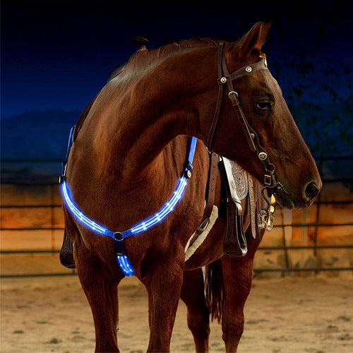 Rasmun Rechargeable Equestrian LED Light Strip – Reflective Night Riding Safety Harness for Horse Shows