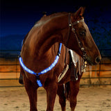 Rasmun Rechargeable Equestrian LED Light Strip – Reflective Night Riding Safety Harness for Horse Shows