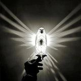 Rasmun Modern Bird Wall Lamp – 3D Owl & Eagle Projector Sconce Light | Unique Animal-Shaped Resin Home Decor Accent for Bedroom, Living Room & Gifts