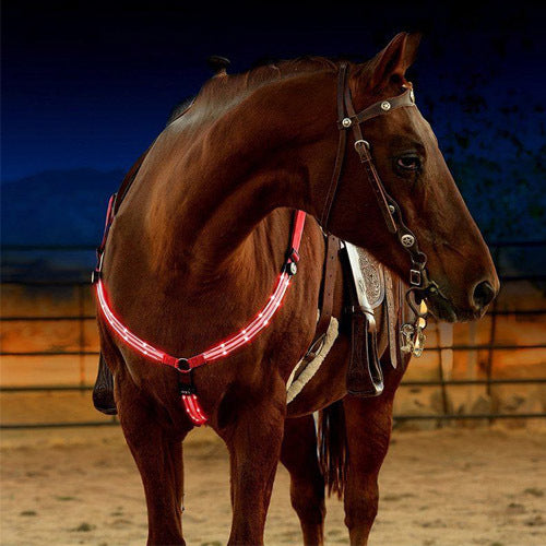 Rasmun Rechargeable Equestrian LED Light Strip – Reflective Night Riding Safety Harness for Horse Shows