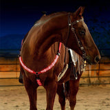Rasmun Rechargeable Equestrian LED Light Strip – Reflective Night Riding Safety Harness for Horse Shows