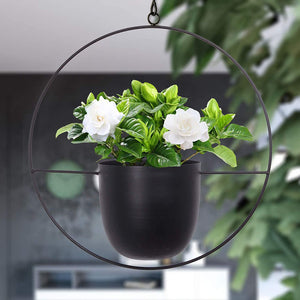 Rasmun Iron Hanging Orchid Pots – Modern Electroplated Hydroponic Planters for Home & Office Decor, Black