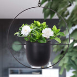 Rasmun Iron Hanging Orchid Pots – Modern Electroplated Hydroponic Planters for Home & Office Decor, Black