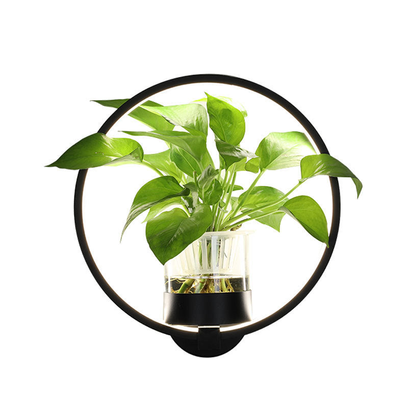 Rasmun Decorative Wall Lamp – Modern LED Background Wall Light with Iron Frame & Glass Cup for Living Room, Bedroom, Stairs & Study