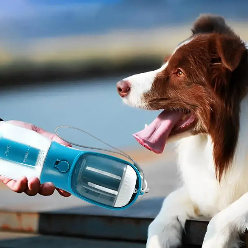 Rasmun 3-in-1 Dog Water Bottle | Portable Pet Cup & Food Box