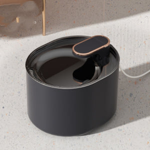 Rasmun Automatic Pet Water Fountain – Quiet USB Cat & Dog Dispenser