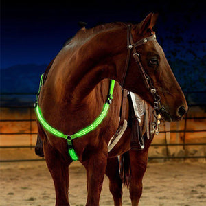 Rasmun Rechargeable Equestrian LED Light Strip – Reflective Night Riding Safety Harness for Horse Shows