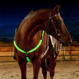 Rasmun Rechargeable Equestrian LED Light Strip – Reflective Night Riding Safety Harness for Horse Shows