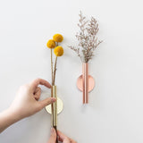 Rasmun Iron Wall Hanging Plant Vase – Decorative Wall-Mounted Planter for Home, Office, Balcony & Garden