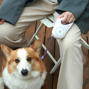 Rasmun Retractable Dog Leash & Collar | Automatic Pet Rope