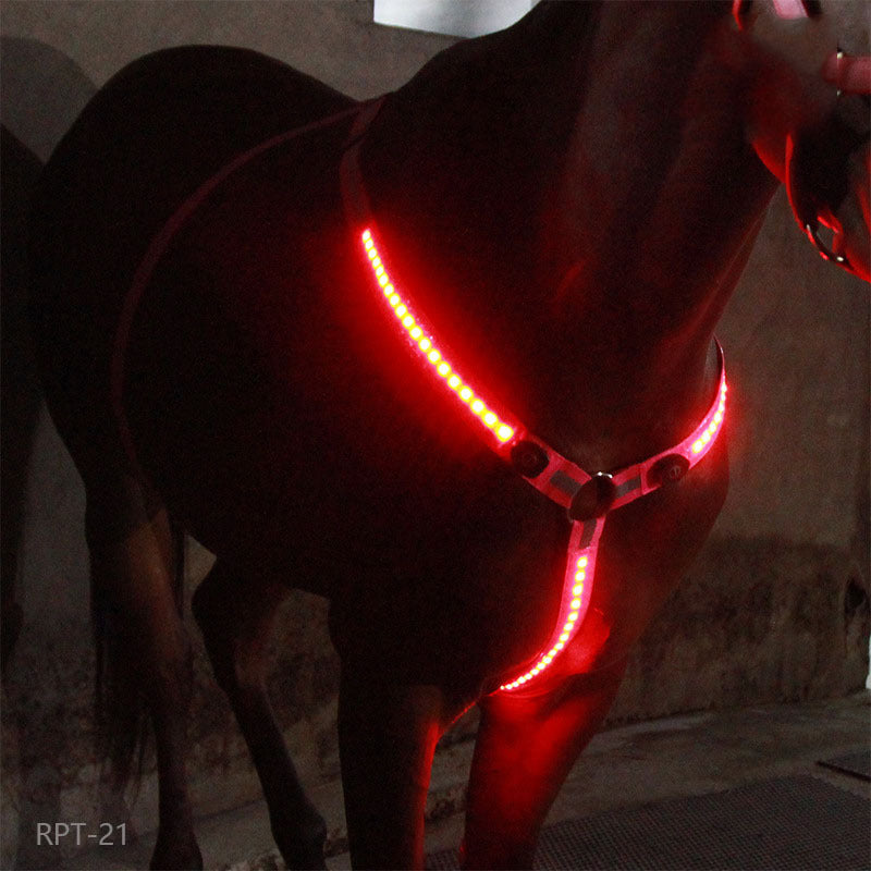 Rasmun Rechargeable Equestrian LED Light Strip – Reflective Night Riding Safety Harness for Horse Shows