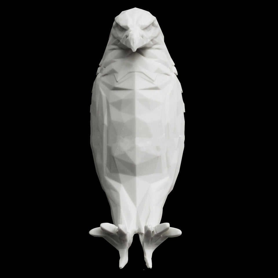 Rasmun Modern Bird Wall Lamp – 3D Owl & Eagle Projector Sconce Light | Unique Animal-Shaped Resin Home Decor Accent for Bedroom, Living Room & Gifts