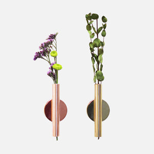 Rasmun Iron Wall Hanging Plant Vase – Decorative Wall-Mounted Planter for Home, Office, Balcony & Garden