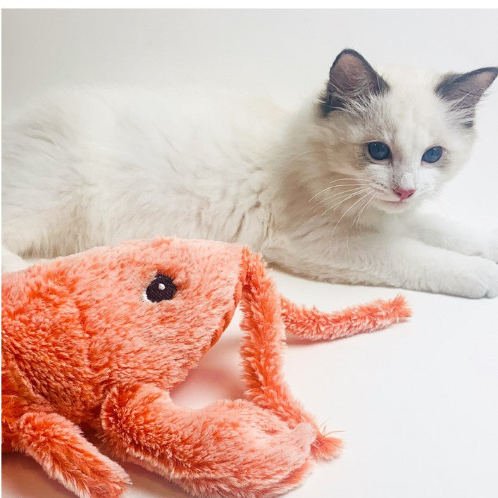 Rasmun Electric Jumping Shrimp Cat | USB Plush Lobster