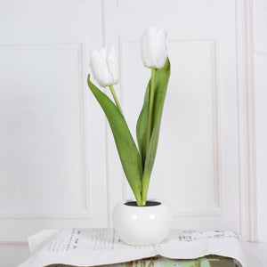 Rasmun LED Tulip Flower Night Light – Artificial Flowerpot Table Lamp for Home, Bedroom & Gift Decoration