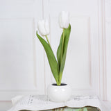 Rasmun LED Tulip Flower Night Light – Artificial Flowerpot Table Lamp for Home, Bedroom & Gift Decoration