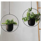Rasmun Iron Hanging Orchid Pots – Modern Electroplated Hydroponic Planters for Home & Office Decor, Black