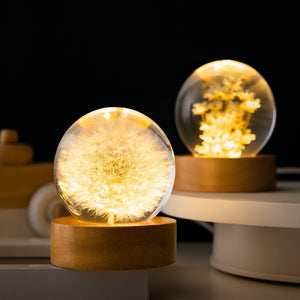 Rasmun 3D Dandelion Crystal Ball Night Light – Luminous Flower Sphere with Beech Wood Base, Desktop Ornament for Birthday & Christmas Gift